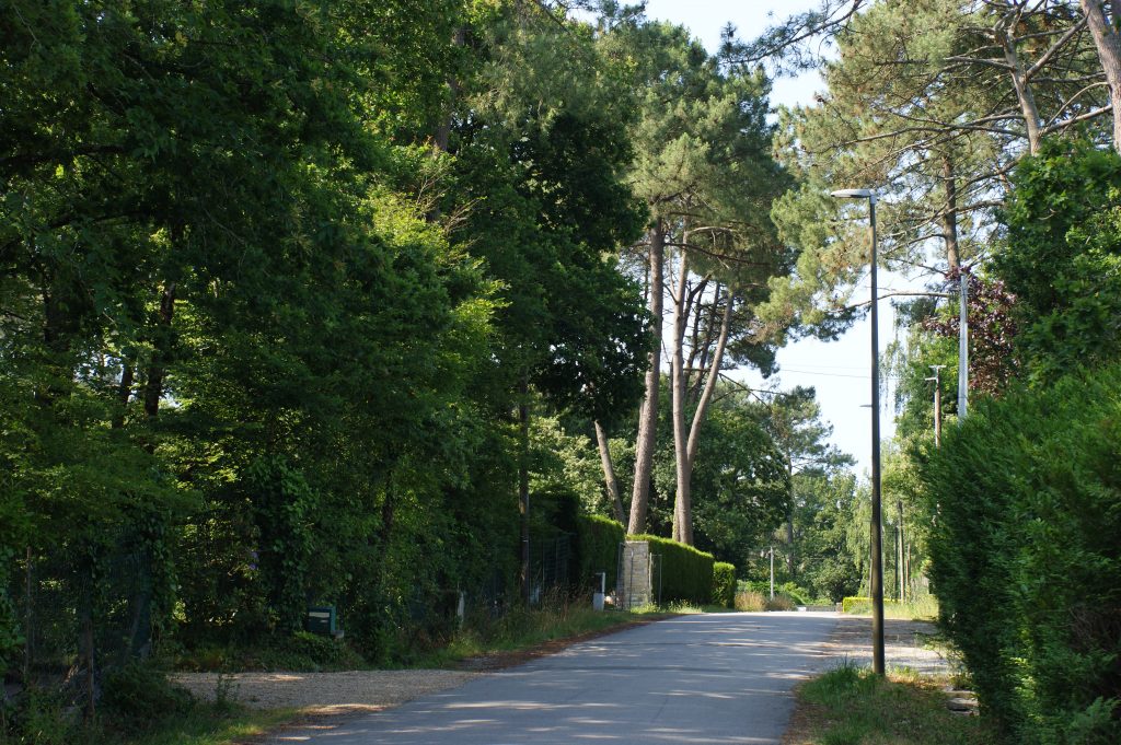Allées du Bois du Vincin